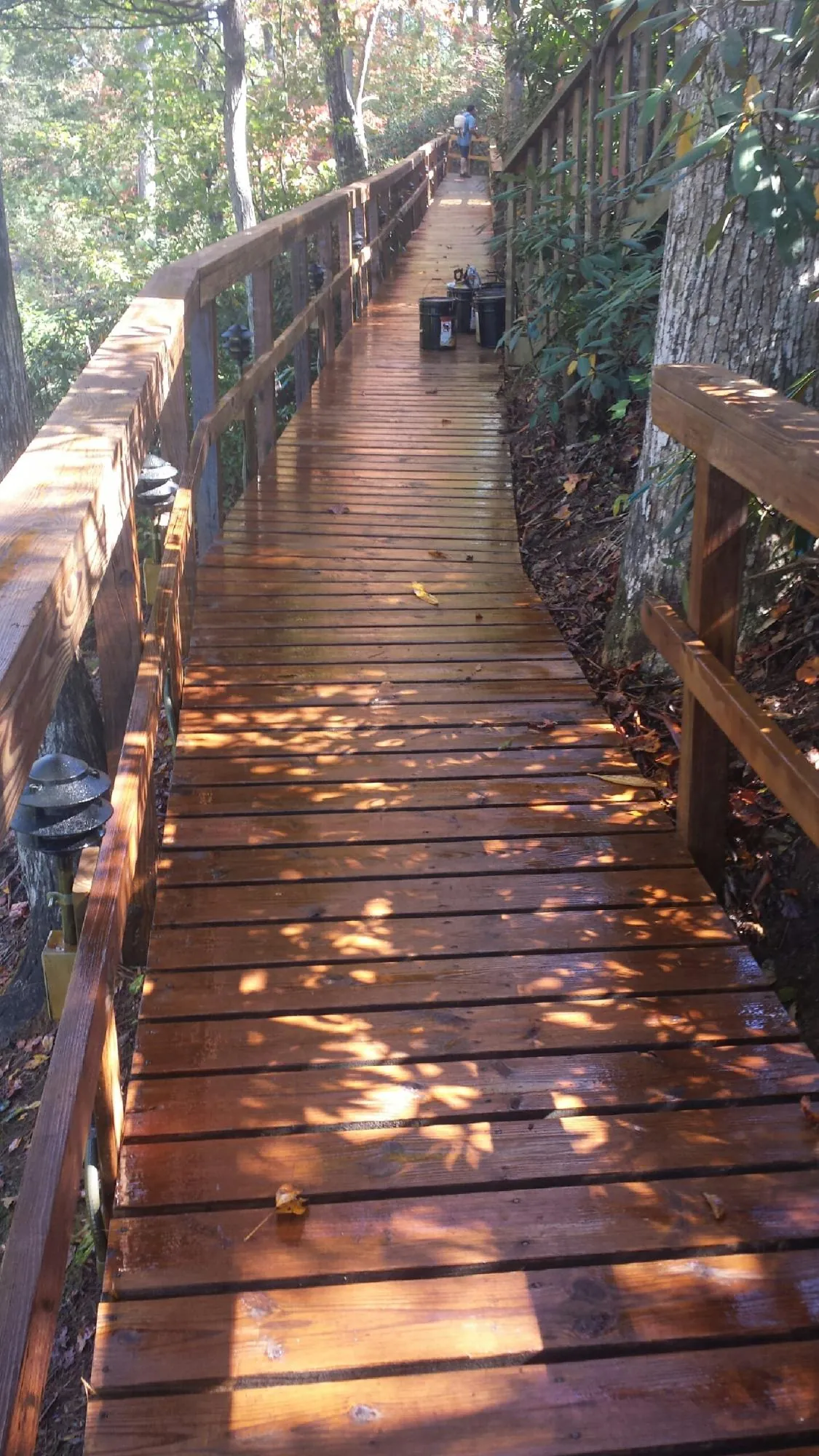 Freshly stained wood walkway winding through the woods in Staffordsville